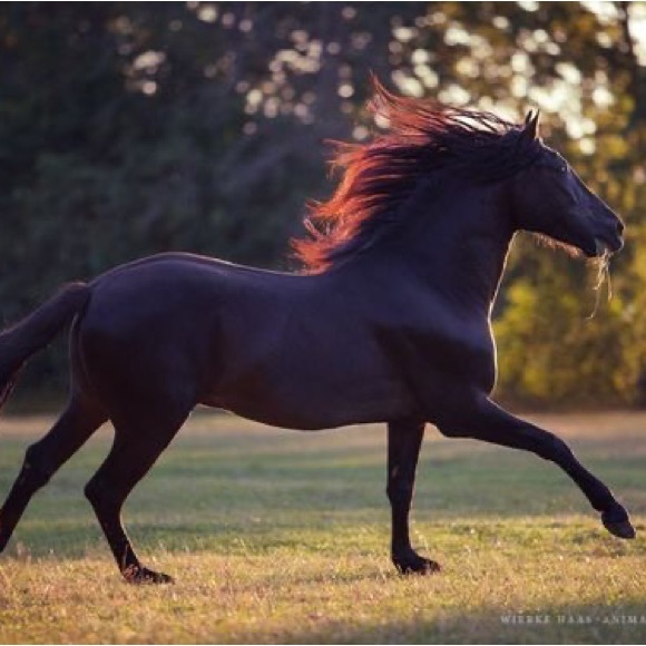 Meet your Posher, Christiana - Picture 16 of 16